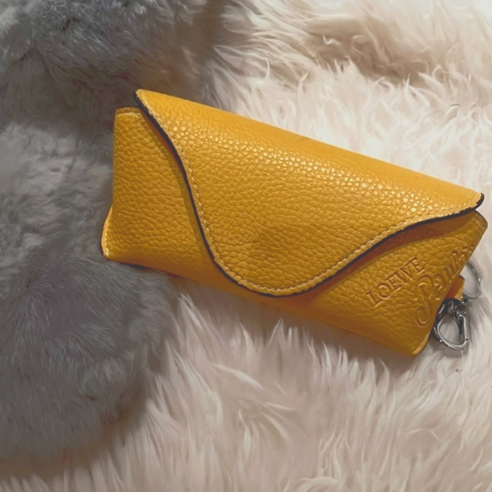 Loewe Paula Ibiza Sunglasses Case